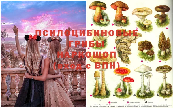мяу мяу кристалл Лабытнанги
