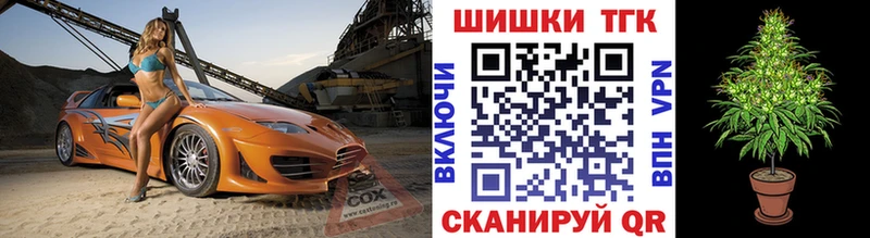 Купить где Кингисепп Конопля индика